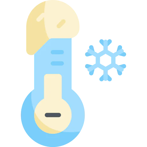 Thermometer icon