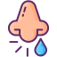 Runny nose icon 64x64