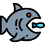 Big fish icon 64x64