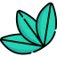 Coca leaves Ikona 64x64