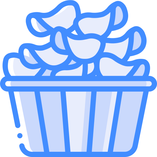 Chips icon