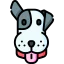 Dog 图标 64x64