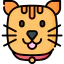 Cat 图标 64x64