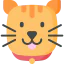 Cat 图标 64x64