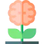 Awareness biểu tượng 64x64