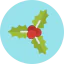 Holly icon 64x64