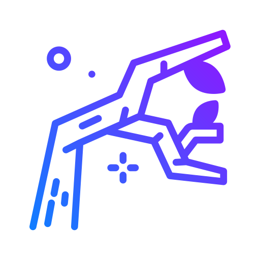 Branch icon