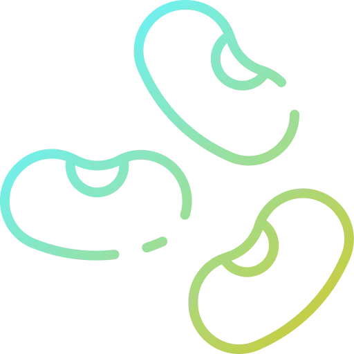 Bean icon