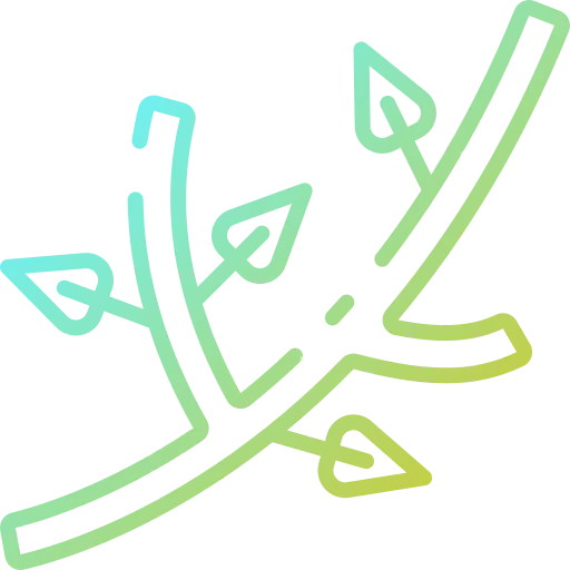 Branch 图标