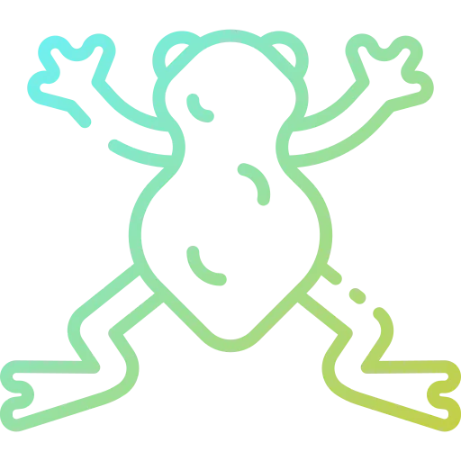 Frog icon