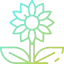 Sunflower ícono 64x64