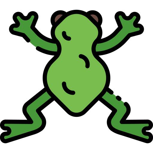 Frog icon