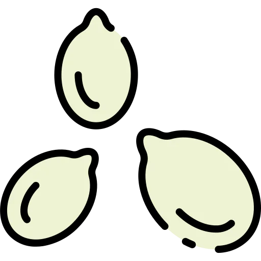 Seed 图标