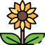 Sunflower icône 64x64