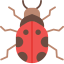 Ladybug 상 64x64