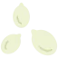 Seed 상 64x64