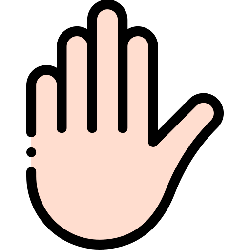 Privacy icon