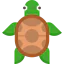Turtle icon 64x64
