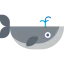 Whale icon 64x64