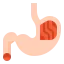 Stomach icon 64x64