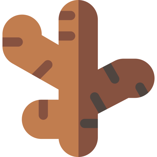 Ginger icon