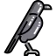 Raven icon 64x64
