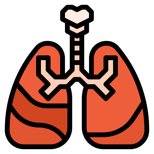 Lung icon