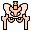 Pelvis アイコン 64x64
