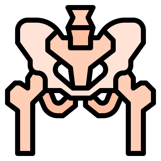 Pelvis icon
