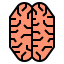 Brain icon 64x64