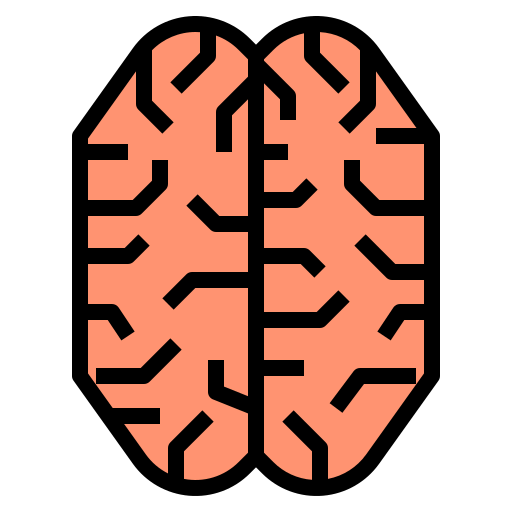 Brain icon