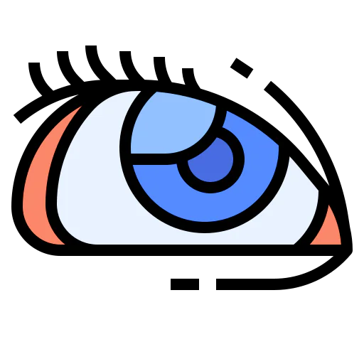 Eye icon