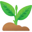 Sprout 상 64x64