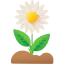 Sunflower 상 64x64