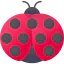 Ladybug 상 64x64