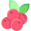 Cranberry icon 64x64