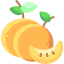 Mandarin icon 64x64