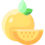 Orange icon 64x64