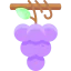 Grapes icon 64x64