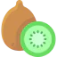 Kiwi icon 64x64
