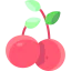 Cherry icon 64x64