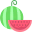 Watermelon icon 64x64