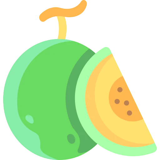 Melon icon