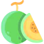 Melon icon 64x64