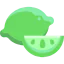 Lime icon 64x64