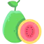 Guava icon 64x64
