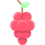 Grapes icon 64x64