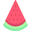 Watermelon icon 64x64