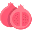 Pomegranate icon 64x64