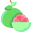 Grapefruit icon 64x64